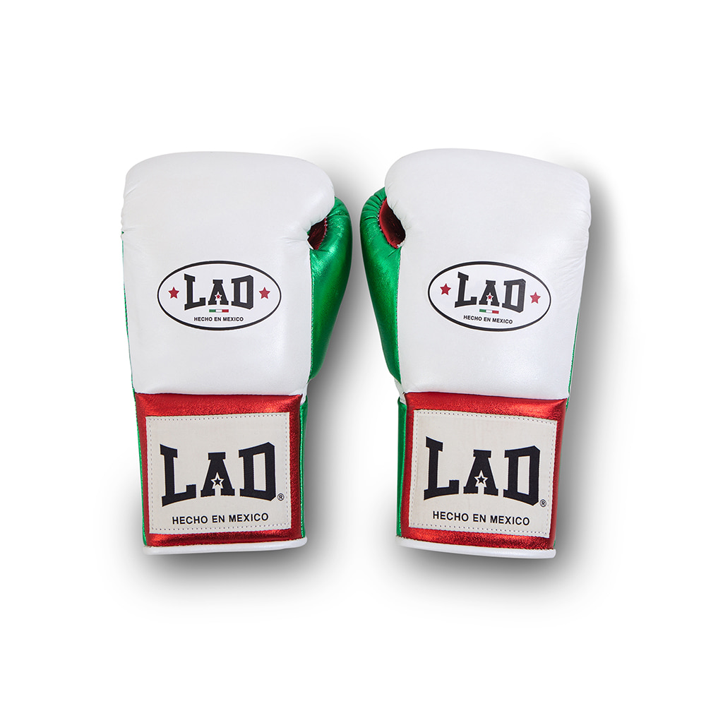 LADFG1003 Fight Gloves 10oz - White (WH Logo)