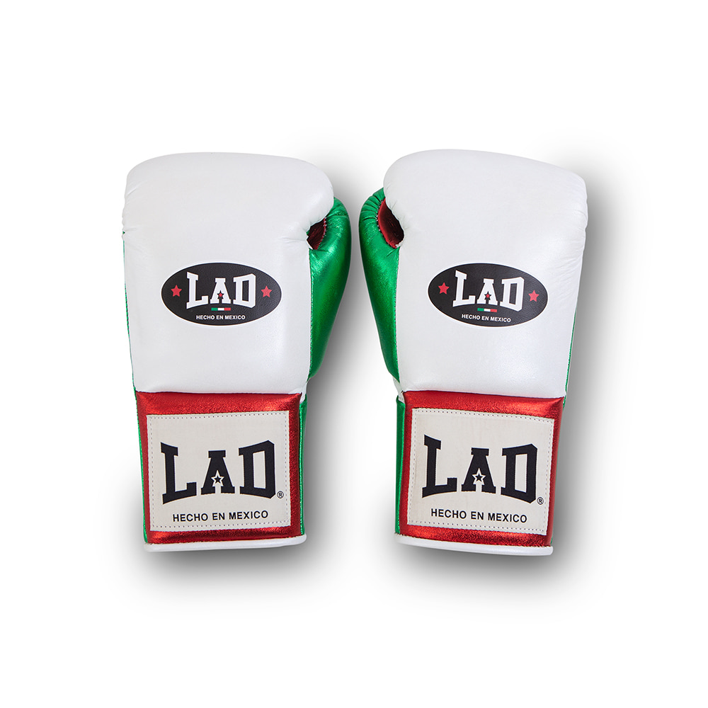 LADFG1001 Fight Gloves 10oz - White (BK Logo)